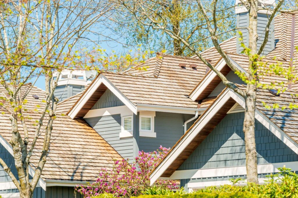 Roofing Contractor