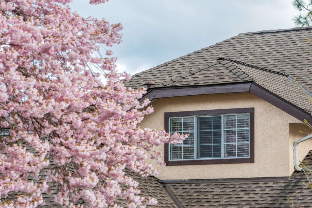 Roof Replacement Cost