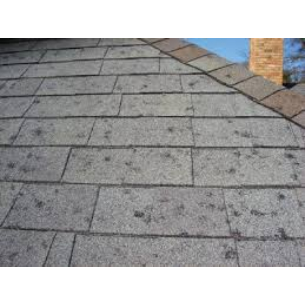 architectural shingles vs traditional